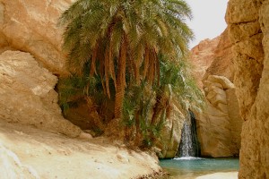 Tunisie-Oasis