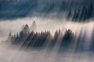 Boguslaw-Strempel-Fog-Landscapes-9