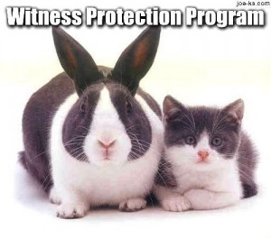 witness-protection-program2