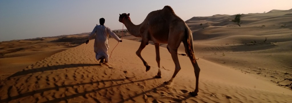 Camel Man_desart