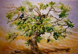 fig-tree-yvonne-ayoub